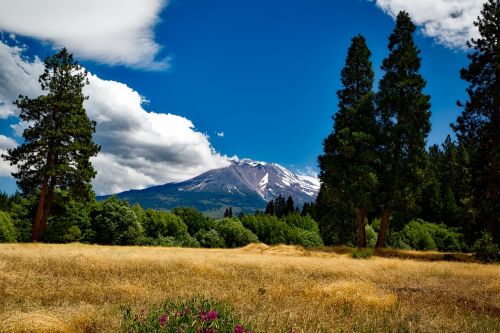 Kalnas Shasta, Kalifornija, Kalnas, Dangus, Miškas, Medžiai, Gamta, Kraštovaizdis, Vaizdingas, Kaimas, Vulkanas, Hdr, Pieva, Wildflower, Gražus, Kaimas, Miškai