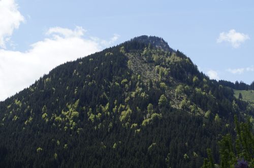 Kalnas, Allgäu, Alpių, Kraštovaizdis, Žygiai, Gamta, Perspektyva, Kalnai, Miškas