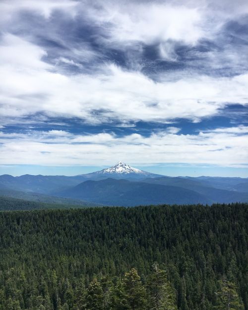 Kalnas, Oregonas, Miškas, Mt Gaubtas, Sherrards Point, Maumedžio Kalnas, Lauke, Gamta, Medžiai, Dangus, Instagram