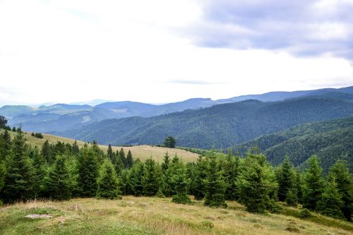 Kalnas, Kraštovaizdis, Medžiai, Kelionė, Miškas, Gamta, Vasara, Dangus, Mėlynas