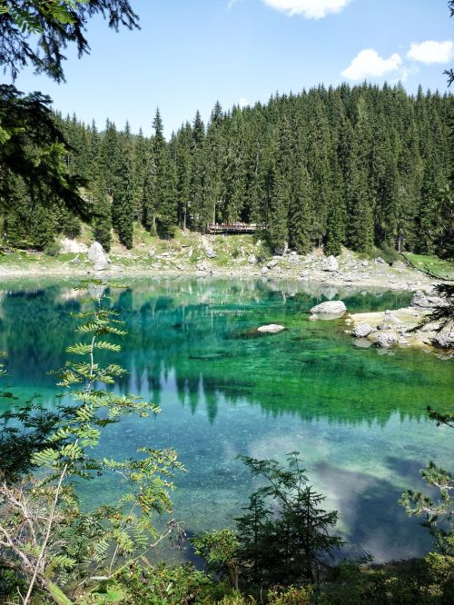 Ežero Priežiūra, Dolomitai, Miškas, Kraštovaizdis