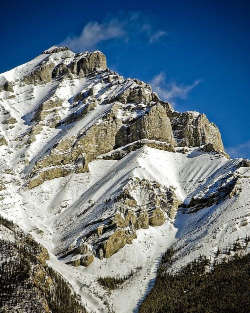 Kalnas, Piko, Sniegas, Kraštovaizdis, Dangus, Nuotykis, Aukštas, Lauke, Mėlynas, Kalno Viršūnė, Peizažas, Aukščiausiojo Lygio Susitikimas, Kanada, Kanados, Alberta, Viršuje, Uolingas, Alpių, Vaizdingas, Banff, Medžiai