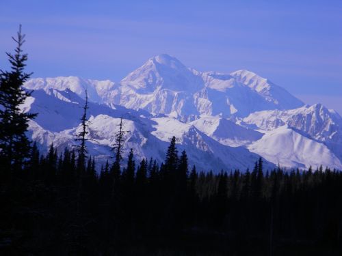 Kalnas, Denali, Mckinley, Piko, Lauke, Alaska, Dykuma, Snowcapped