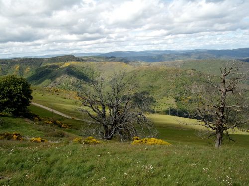 Kalnas, Cévennes, Gamta, Aukščiausiojo Lygio Susitikimas, Medžiai, Kraštovaizdis