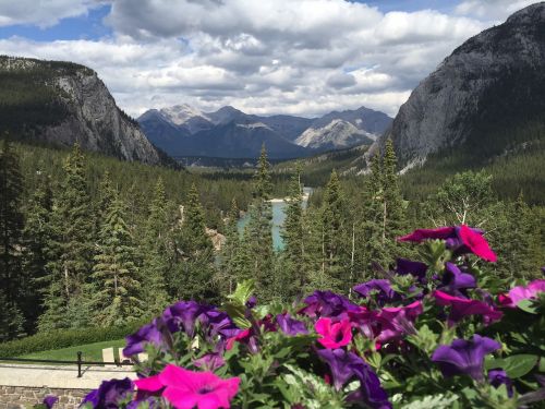 Kalnas, Gėlės, Gamta, Vasara, Kraštovaizdis, Kanada, Banff