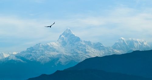 Kalnas, Dangus, Rūkas, Paukštis, Nepalas, Macchapuchhre, Kraštovaizdis, Kalvos