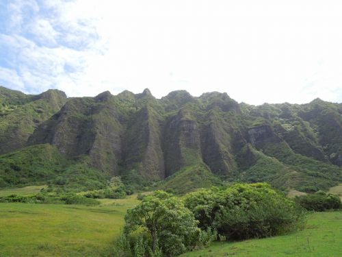 Kalnas, Hawaii, Gamta