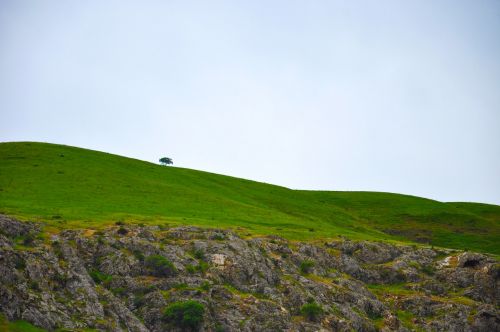 Kalnas, Medis, Žalias, Fonas, Kraštovaizdis, Dangus, Debesis, Debesys, Turkija, Pavasaris, Mardin, Kalnai, Gamta, Aukštas, Sniegas, Aplinkosauga, Medžiai, Taylor, Žiema, Çaycuma, Gražus, Žolė