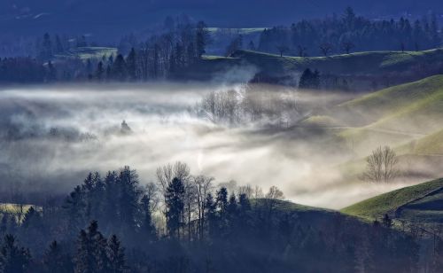 Kalnas, Highland, Medžiai, Augalas, Gamta, Vaizdas, Rūkas, Šaltas, Oras