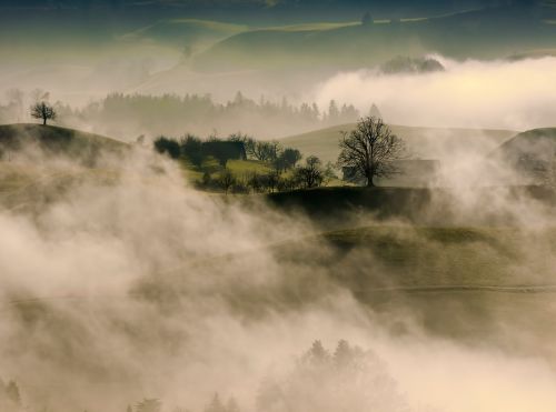 Kalnas, Highland, Medžiai, Augalas, Gamta, Vaizdas, Rūkas, Šaltas, Oras