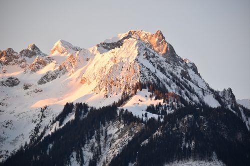 Kalnas, Sniegas, Žiema, Alpių, Kraštovaizdis, Miškas, Sniego Kraštovaizdis, Žiemą