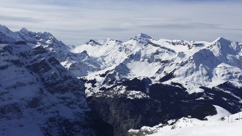 Kalnas, Sniegas, Grindelwald, Swiss Alps, Kalnai, Šveicarija, Alpių, Žiema, Šaltas, Mėlynas