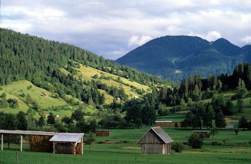 Kalnų,  Pobūdį,  Kraštovaizdis,  Bohinj,  Slovėnija