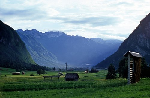 Kalnų,  Pobūdį,  Kraštovaizdis,  Bohinj,  Slovėnija