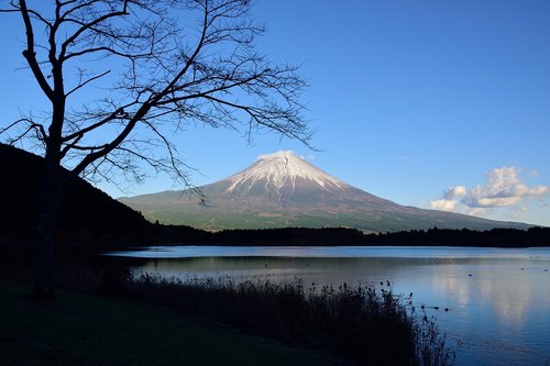 Kalnų,  Japonija,  Kalvos,  Shizuoka,  Dangus,  Ežeras,  Fuji,  Medis,  Siluetas,  Šešėlis