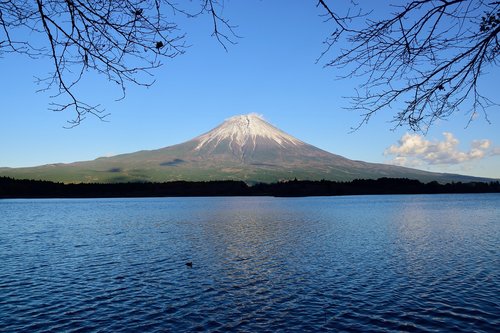 Kalnų,  Japonija,  Kalvos,  Shizuoka,  Dangus,  Ežeras,  Fuji,  Medis,  Šešėlis