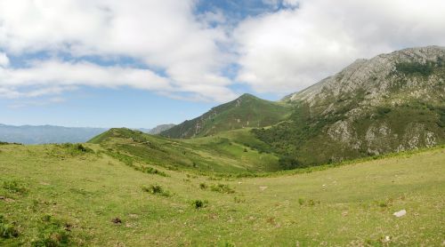 Kalnas, Asturias, Kraštovaizdis, Gamta, Laukas