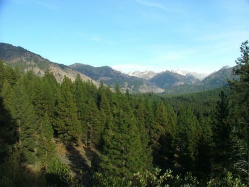Kalnas, Diapazonas, Vaizdas, Vaizdingas, Miškas, Idaho, Pjūklas