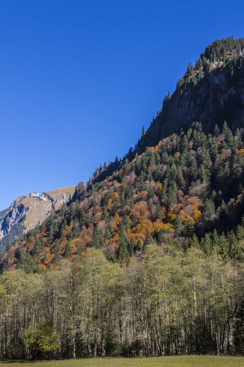 Kalniniai Miškai, Rudens Miškas, Alpių, Allgäu Alpės, Kalnai, Rudens Spalvos, Allgäu, Kalnų Panorama, Kalnų Peizažas, Žygiai