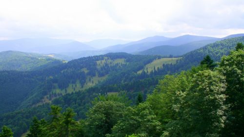 Gamta,  Medžiai,  Žalias,  Sluoksniai,  Kalnas,  Romanija,  Vaizdas,  Kalnų Sluoksniai