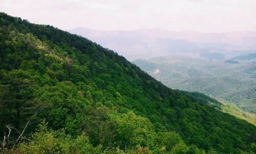 Kalnas,  Gruzija,  Žygis,  Lipti,  Gamta,  Keliautojas,  Lauke,  Medžiai,  Lapai,  Žalias,  Vaizdas,  Kraštovaizdis,  Kalnas Pamiršta