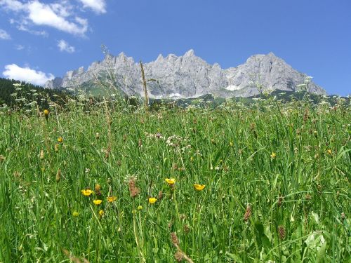 Wilder Kaiser, Kalnų Pusė, Tirol, Alpės