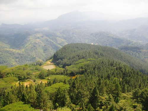 Sri & Nbsp,  Lanka,  Kalnas,  Ambuluwawa,  Natūrali & Nbsp,  Grožis,  Kalnų Vaizdas