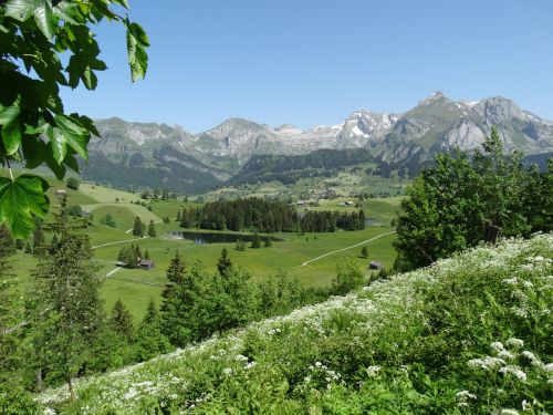 Kalnų Pasaulis, Šveicarija, Kalnų Peizažas, Gamta, Alpių, Kalnai