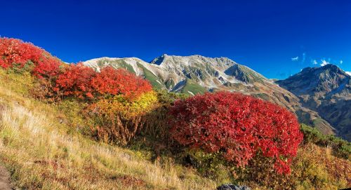 Kalnuotas Kraštovaizdis, Rudens Lapai, Ruduo, Tatejama, Šiaurės Alpės, Nacionalinis Parkas, Japonija