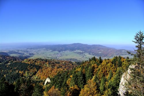 Kalnai, Pieninis, Kraštovaizdis, Lenkija, Medis, Viršuje, Ruduo, Malopolska, Gamta, Akmenys, Kelias, Sokolica, Takas, Rokas, Miesto Szczawnica, Akmenys