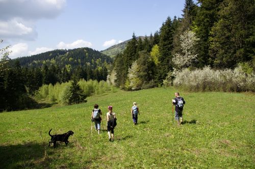 Kalnai, Vaizdas, Turizmas, Gamta, Pavasaris, Pieva, Miškai, Žalia Pieva