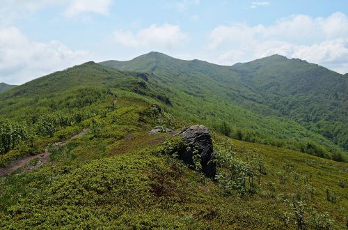 Kalnai, Kraštovaizdis, Bieszczady, Gamta, Vaizdas Iš Viršaus, Lenkija, Vaizdas, Pieva, Takas, Pėsčiųjų Takai, Turizmas, Šventė, Žygių Takas, Kelias, Klajojantis, Žygiai, Kelionė, Kalnas, Miško Kelias, Kalnų Žygiai, Peizažas, Kalnų Kelionė, Takas, Panorama, Kalnų Grožis, Debesys, Grožis, Saulėtas, Atostogos, Saulėta Diena, Kelionė, Augmenija, Žalias, Spalvinga, Ramybė, Tyla, Viršūnės, Metų Laikas, Horizontas, Buko Berdo