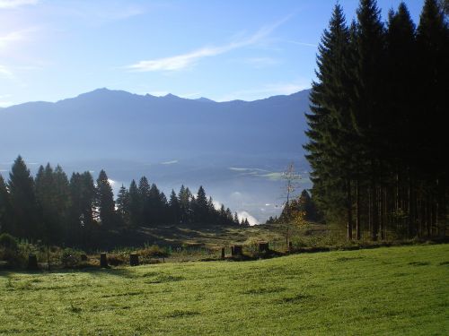 Kalnai, Medis, Gamta, Alpių, Austria, Innsbruck, Žygis