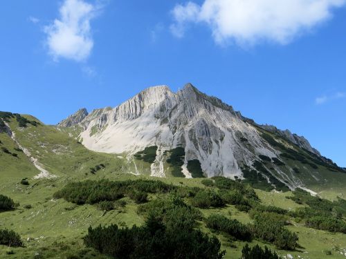 Kalnai, Kraštovaizdis, Alpių, Gamta