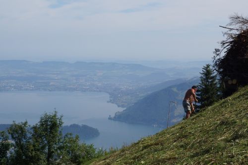 Kalnai, Ežero Lucerne Regionas, Vidinė Šveicarija, Šveicarija, Rigi, Žygiai, Kalnų Ūkininkas, Šienas