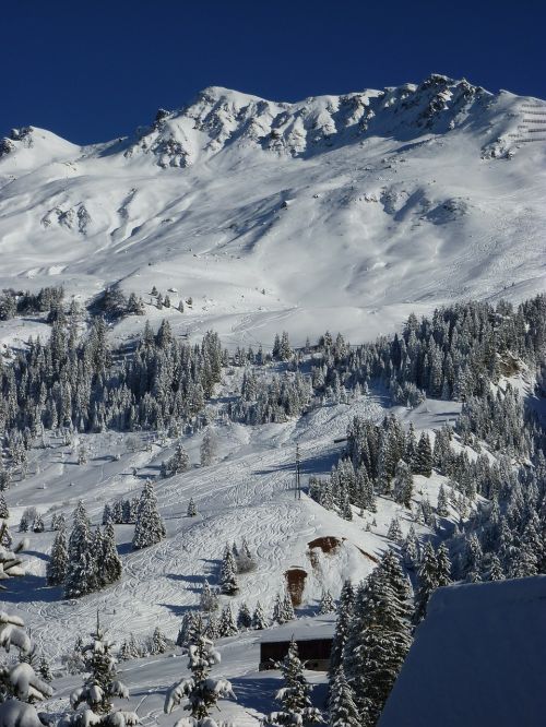 Kalnai, Juodas Ragas, Šveicarija, Žiema, Žiemą, Swiss Alps, Snieguotas, Sniegas, Alpių, Gilus Sniegas, Kalnas, Gamta, Graubünden, Lenzerheide