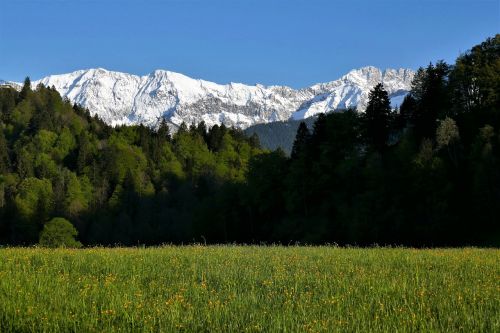 Kalnai, Alpių, Karwendel, Garmisch Partenkirchen, Bavarija, Vokietija, Sniegas, Pranešta, Gėlės, Medžiai, Miškas, Morgenstimmung, Gamta, Kraštovaizdis, Panorama, Dangus, Pavasaris, Mėlynas Dangus, Vaizdas