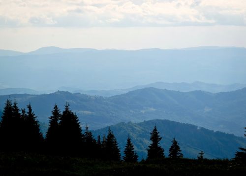 Kalnai, Karpatai, Vasara, Kraštovaizdis, Ukraina, Kaprizuoja, Marmarozė, Turizmas, Kalnų