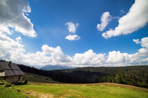 Kalnai, Tatura, Karpatai, Zakopande, Lenkija, Kalvos, Dangus, Kraštovaizdis, Kelionė, Turizmas, Žygiai, Gamta, Lauke, Atostogos, Peizažas, Vasara, Europa, Žalias, Aplinka, Natūralus, Antena, Žolė, Vaizdingas, Lenkas, Debesys, Laukas, Kaimas, Mėlynas, Saulės Šviesa, Diena, Saulė, Medis, Šalis, Scena, Gyvas, Spalvinga, Gražus, Šventė, Šviesa, Taikus, Atsipalaiduoti, Tylus, Meditacija, Oras, Šviežias, Miškas, Platus, Kampas