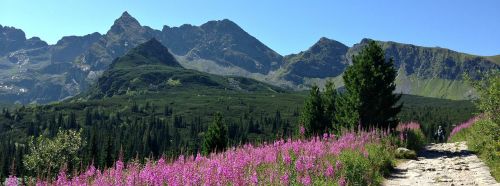 Kalnai, Takas, Kraštovaizdis, Tatry, Lenkija, Gamta, Takas