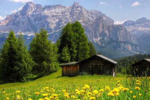 Kalnai,  Dolomitai,  Italija,  Pietų Tirolio,  Alpine,  Peržiūrėti,  Pobūdį,  Kraštovaizdis,  Rokas,  Alpių Panorama,  Žygiai,  Alm,  Vasara,  Dangus,  Mėlyna,  Medis,  Nuotaika