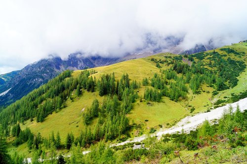 Kalnai,  Debesys,  Pobūdį,  Dangus,  Medžiai,  Žolė,  Rūkas,  Miškas,  Žalias,  Toli,  Fonas