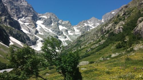 Kalnai, Kraštovaizdis, Alpės