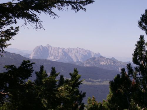 Kalnai, Panorama, Medžiai