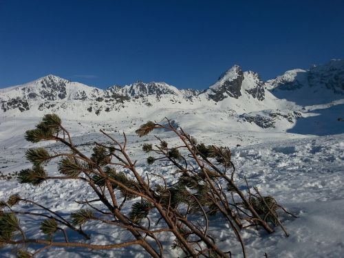Kalnai,  Tatry,  Žiema
