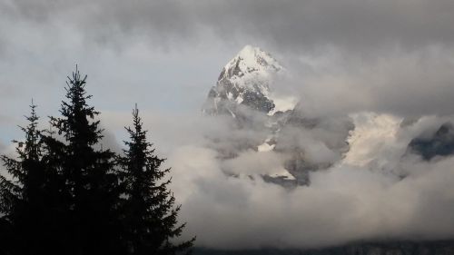 Kalnai, Alpės, Junfrau