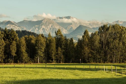 Kalnai, Miškas, Pieva, Kraštovaizdis, Alpių, Gamta, Kalnų Miškas, Allgäu, Allgäu Alpės
