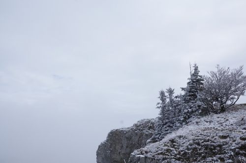 Kalnai, Žiema, Creux Du Van, Šveicarija, Jura, Uolos, Medžiai, Sniegas