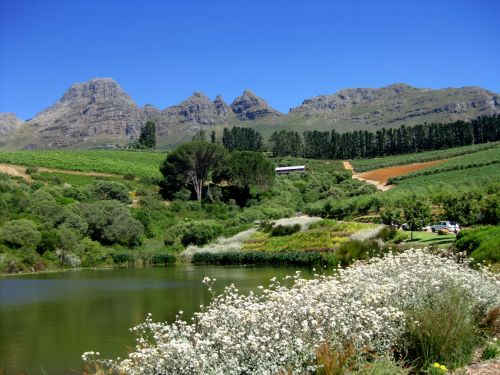 Stellenberg,  Kalnai,  Ežeras,  Stellenbosch,  Viršūnė,  Vanduo,  Vista,  Taikus,  Kaimas,  Mėlynas,  Dangus,  Žalias,  Vasara,  Ramus,  Kalnai Ir Ežeras