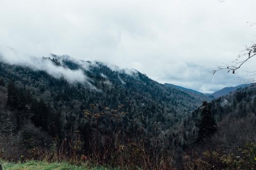 Kalnų Kraštovaizdis, Miškas, Kraštovaizdis, Gamta, Kalnų Peizažas, Kalnas, Peizažas